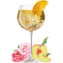 Anna Famosa Aperitivo Likör